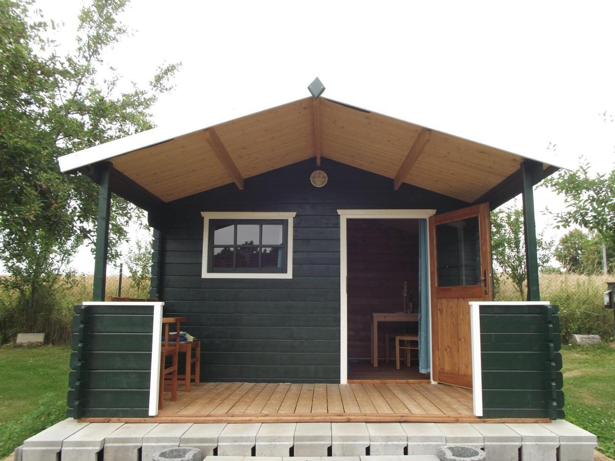 Camping & Guest House Pliskovice Mirovice 外观 照片