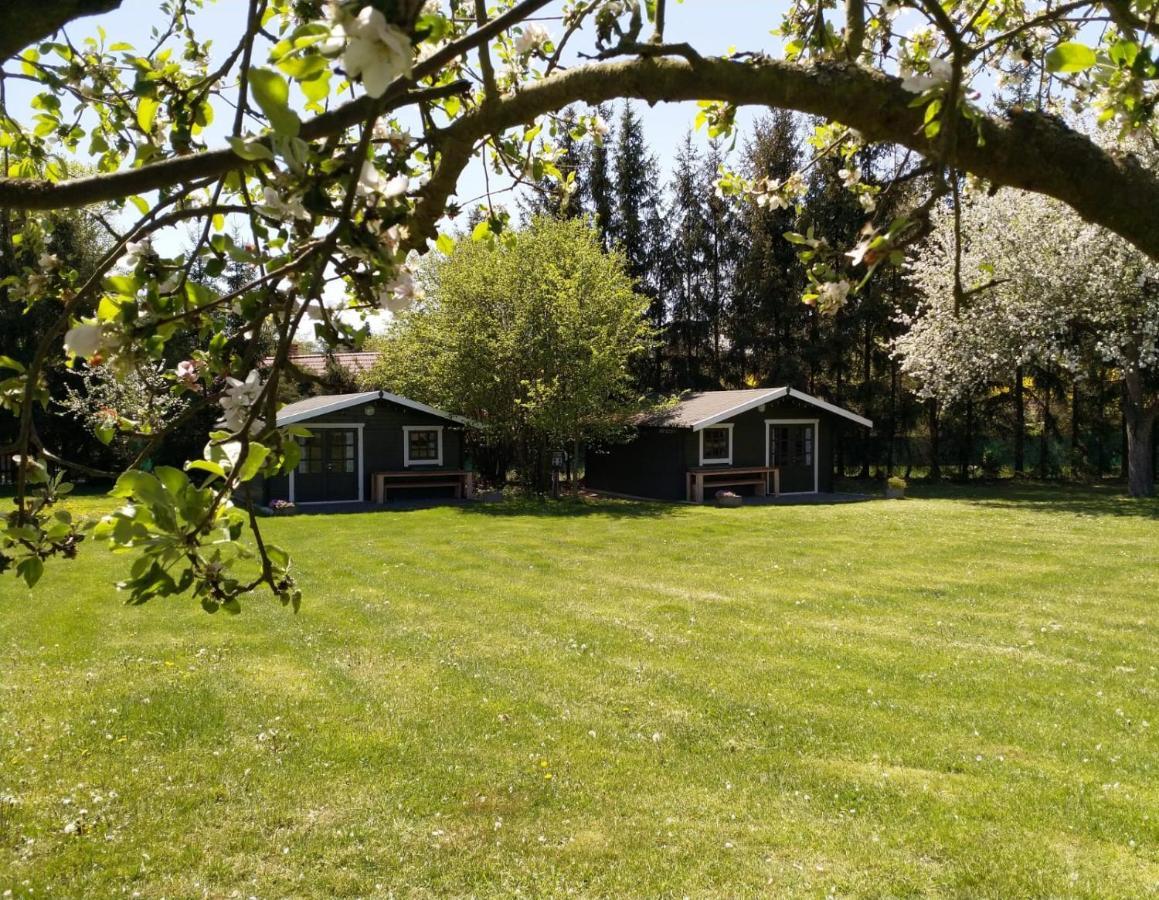 Camping & Guest House Pliskovice Mirovice 外观 照片