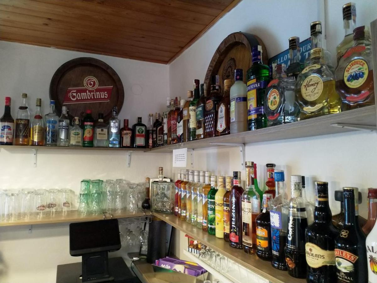 Camping & Guest House Pliskovice Mirovice 外观 照片