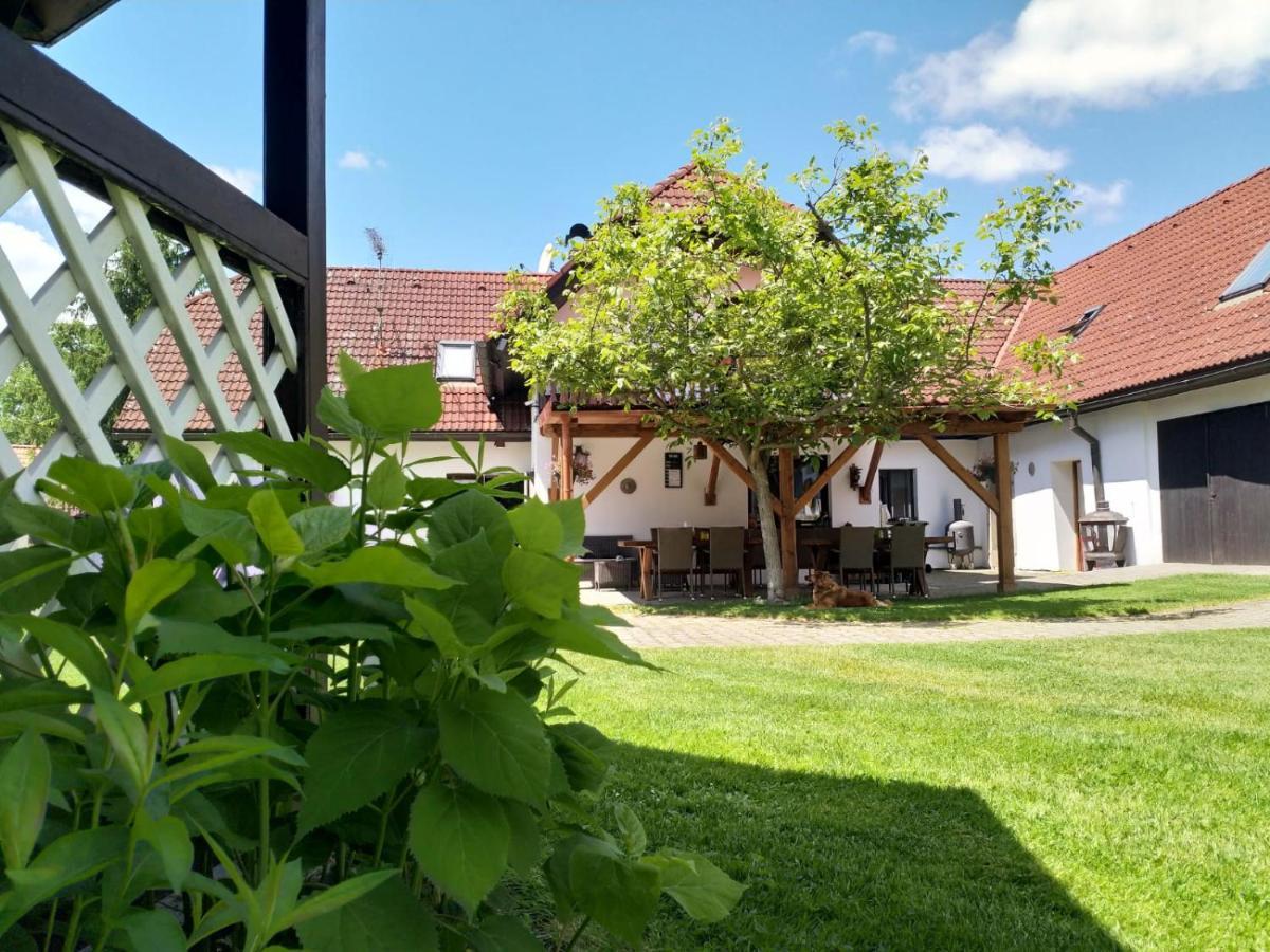 Camping & Guest House Pliskovice Mirovice 外观 照片