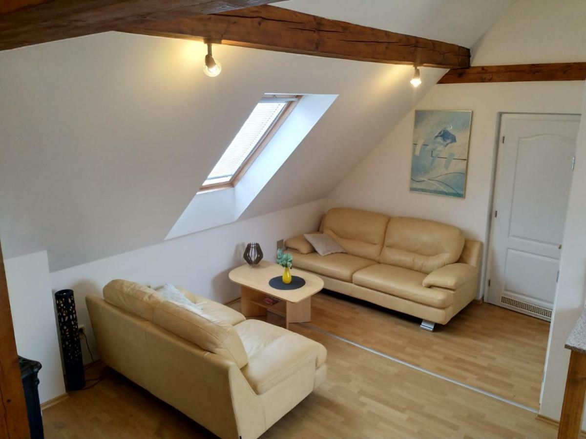 Camping & Guest House Pliskovice Mirovice 外观 照片